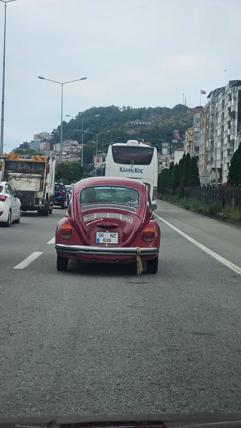 Trabzon Araklı