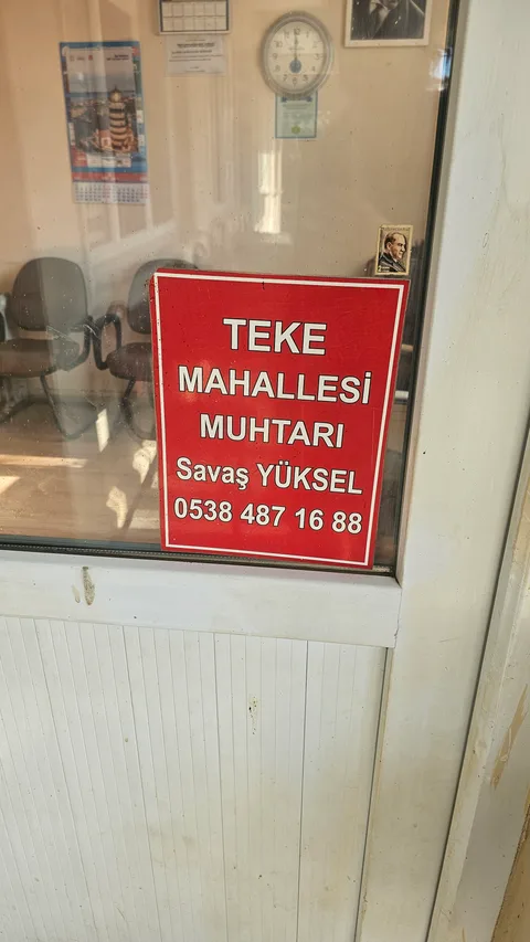 Şile Ormanları