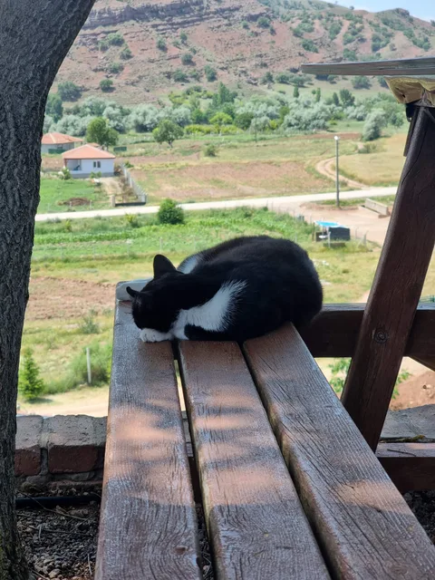 Sulakyurt