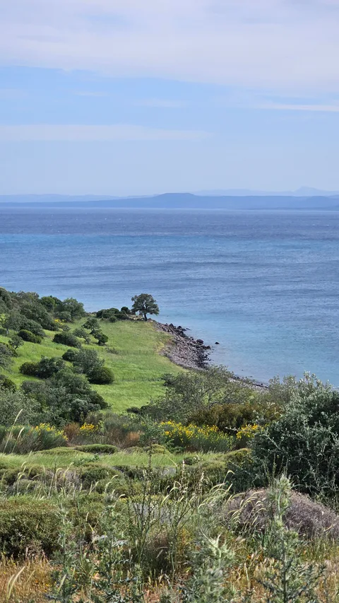 Küçükkuyu