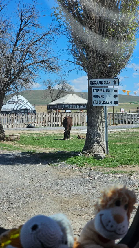 Ulukışla, Altay