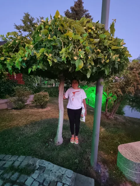 Altınpark