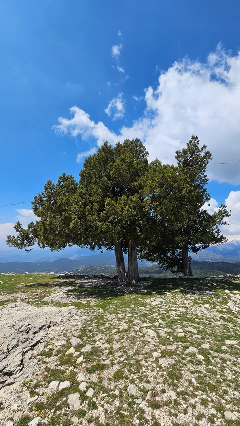 Pozantı, Belemedik