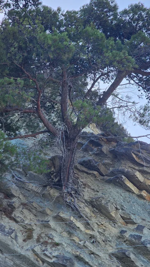 Kastamonu Doğanyurt