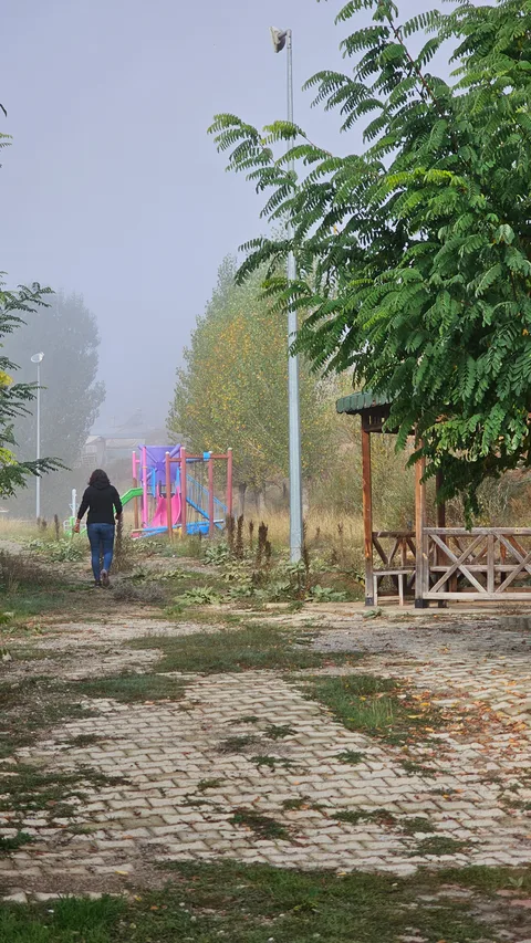 Koyungölü, Ovacık