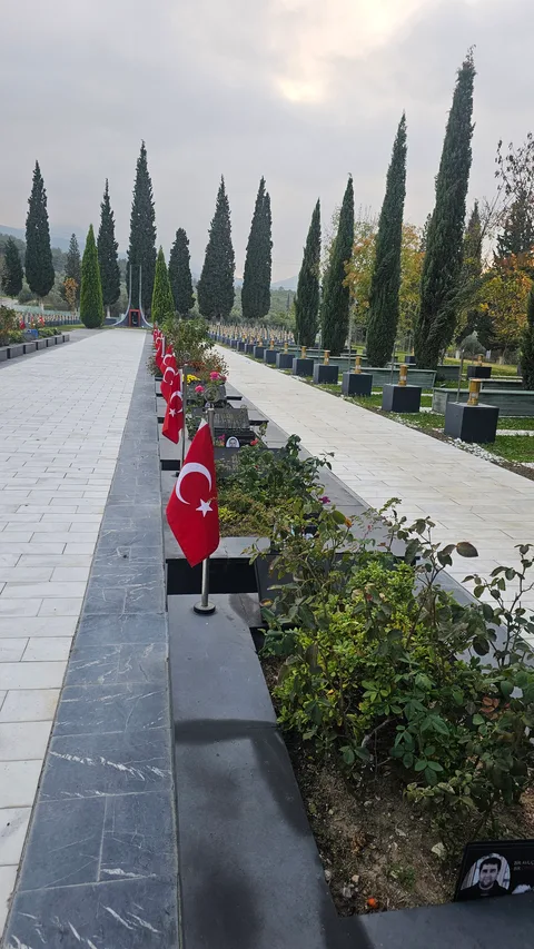 Soma, Yırca