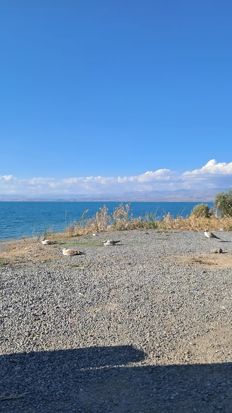 Tuşba, Canik