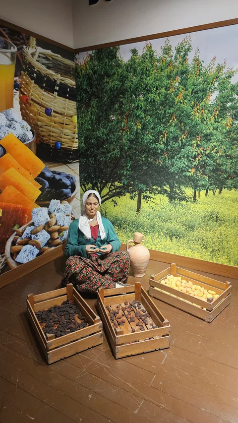 Fidan Kitabevi
