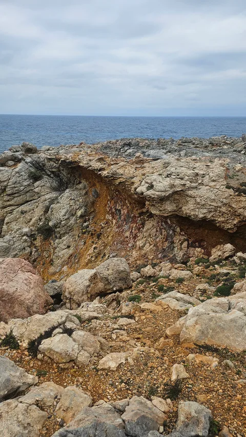 Dipkarpaz