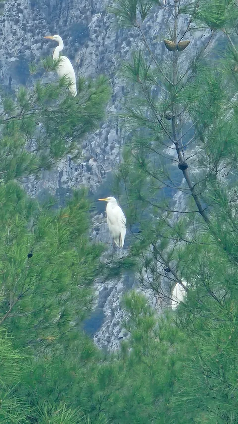 Seydikemer, Ören
