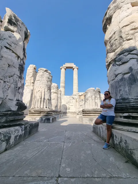 Didim, Hisar