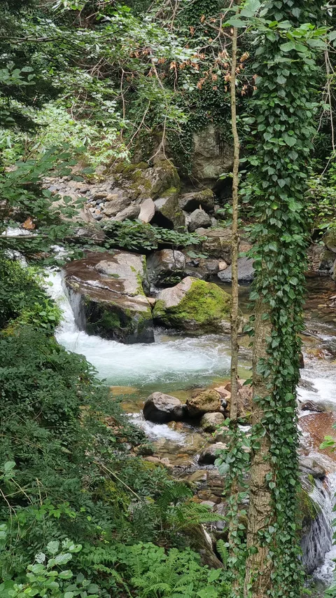 Altındere Vadisi Milli Parkı