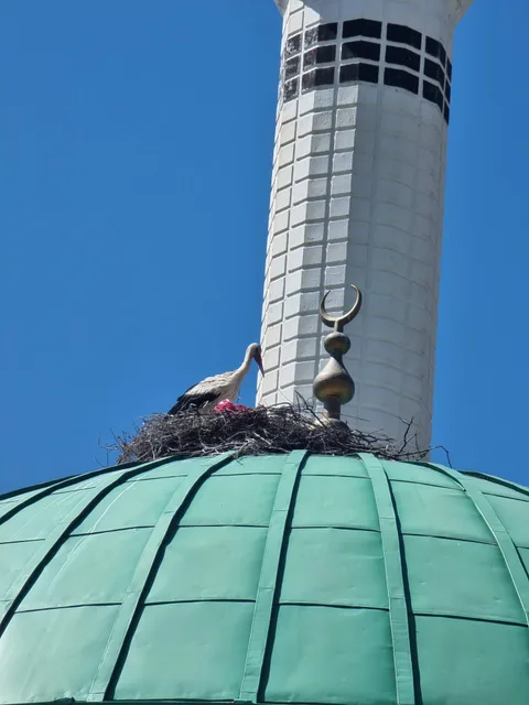 Sulakyurt