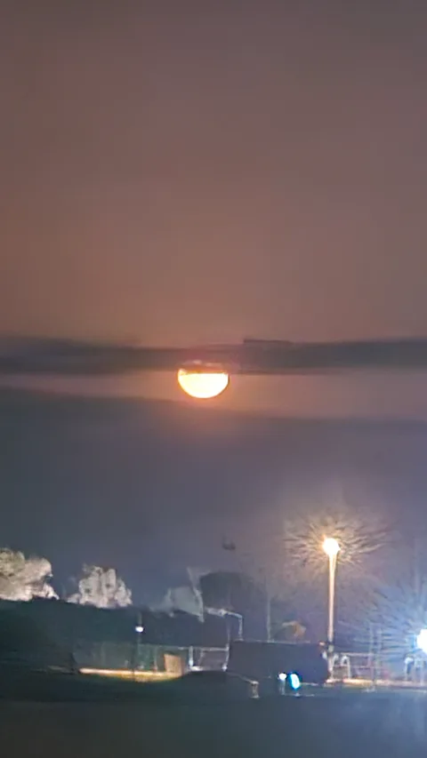 Antalya Manavgat Ormanı