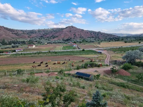 Sulakyurt