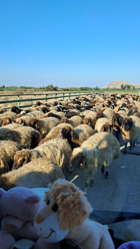 Kadirli, Mecidiye